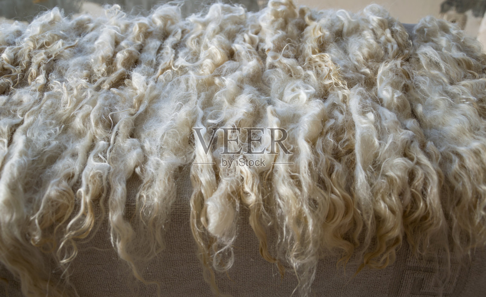 一卷洗过的安哥拉山羊毛。照片摄影图片