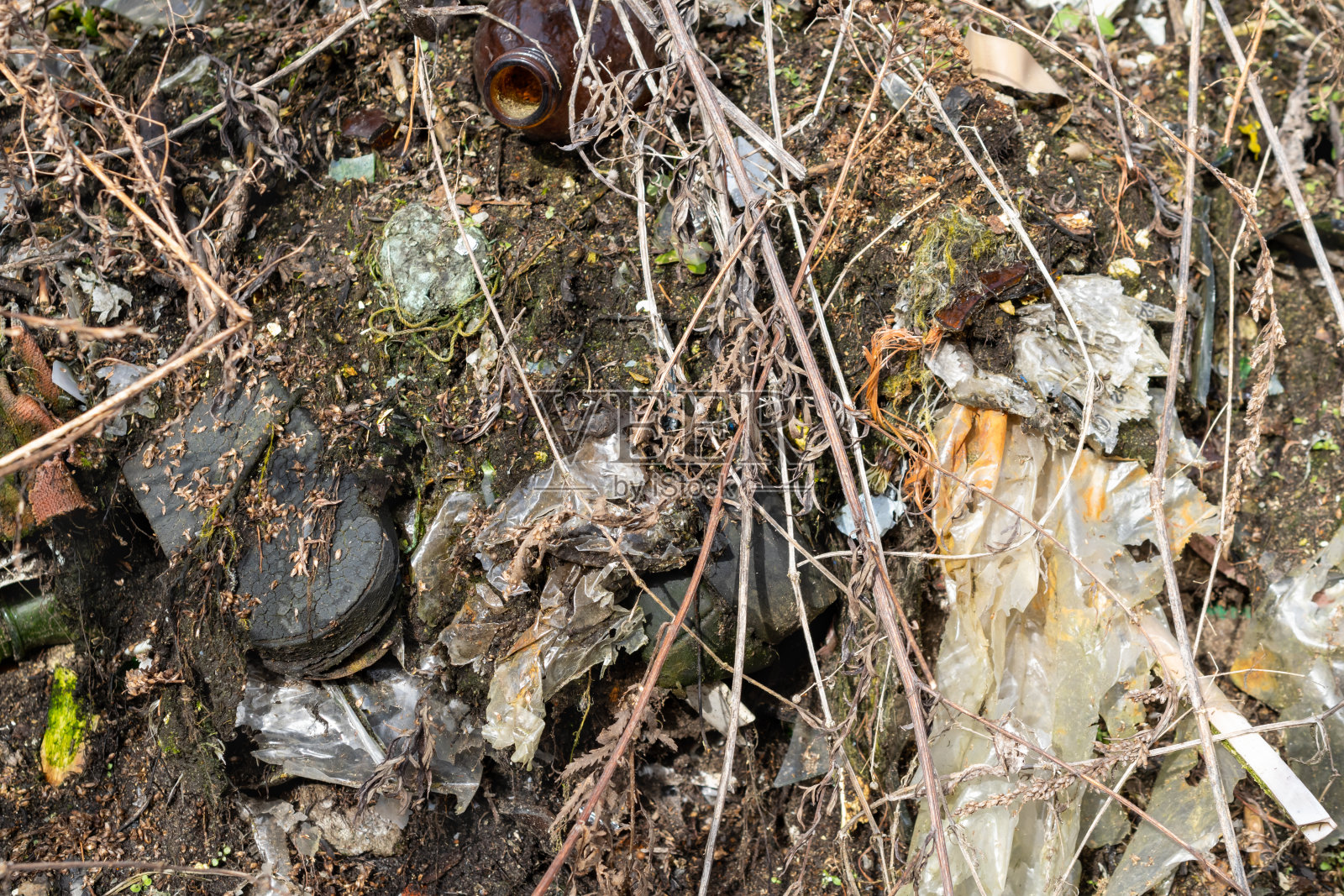 野垃圾场。森林里有残留的玻璃、塑料照片摄影图片