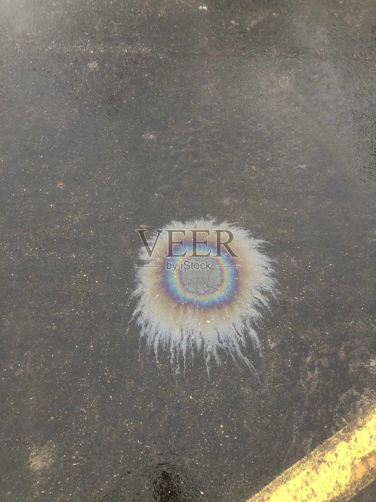 意想不到的美丽照片摄影图片