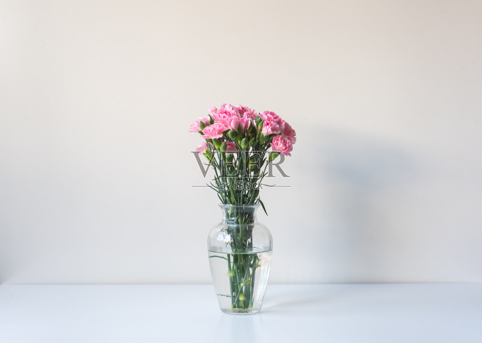 书架上的玻璃花瓶里的粉红色康乃馨，午后的阳光照片摄影图片