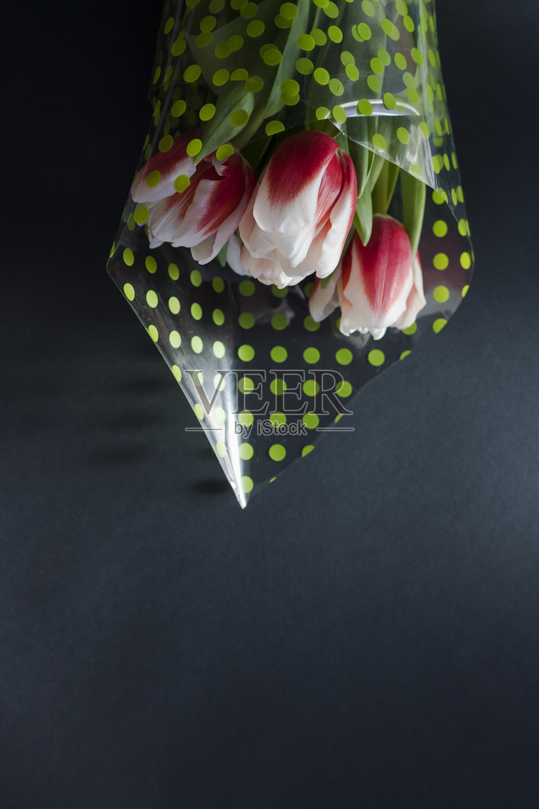 一束粉红色和白色的郁金香在黑色背景上俯视图。照片摄影图片