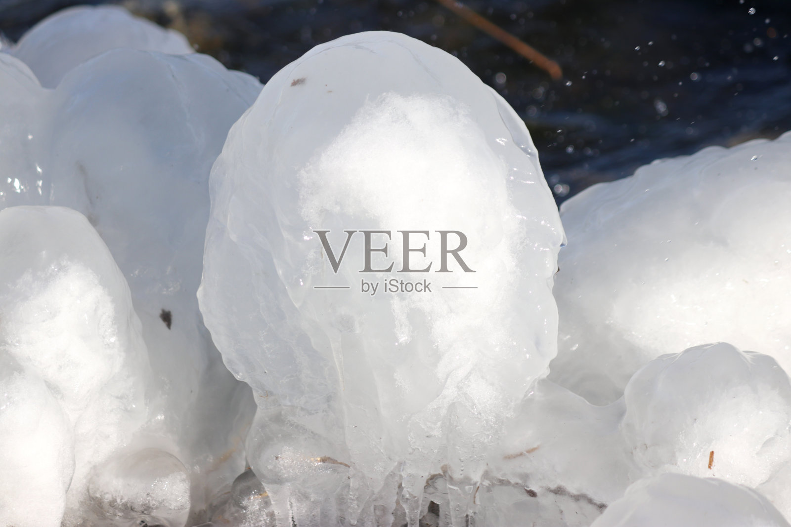 风在泽文惠泽尔普拉的芦苇上造成的冰柱照片摄影图片