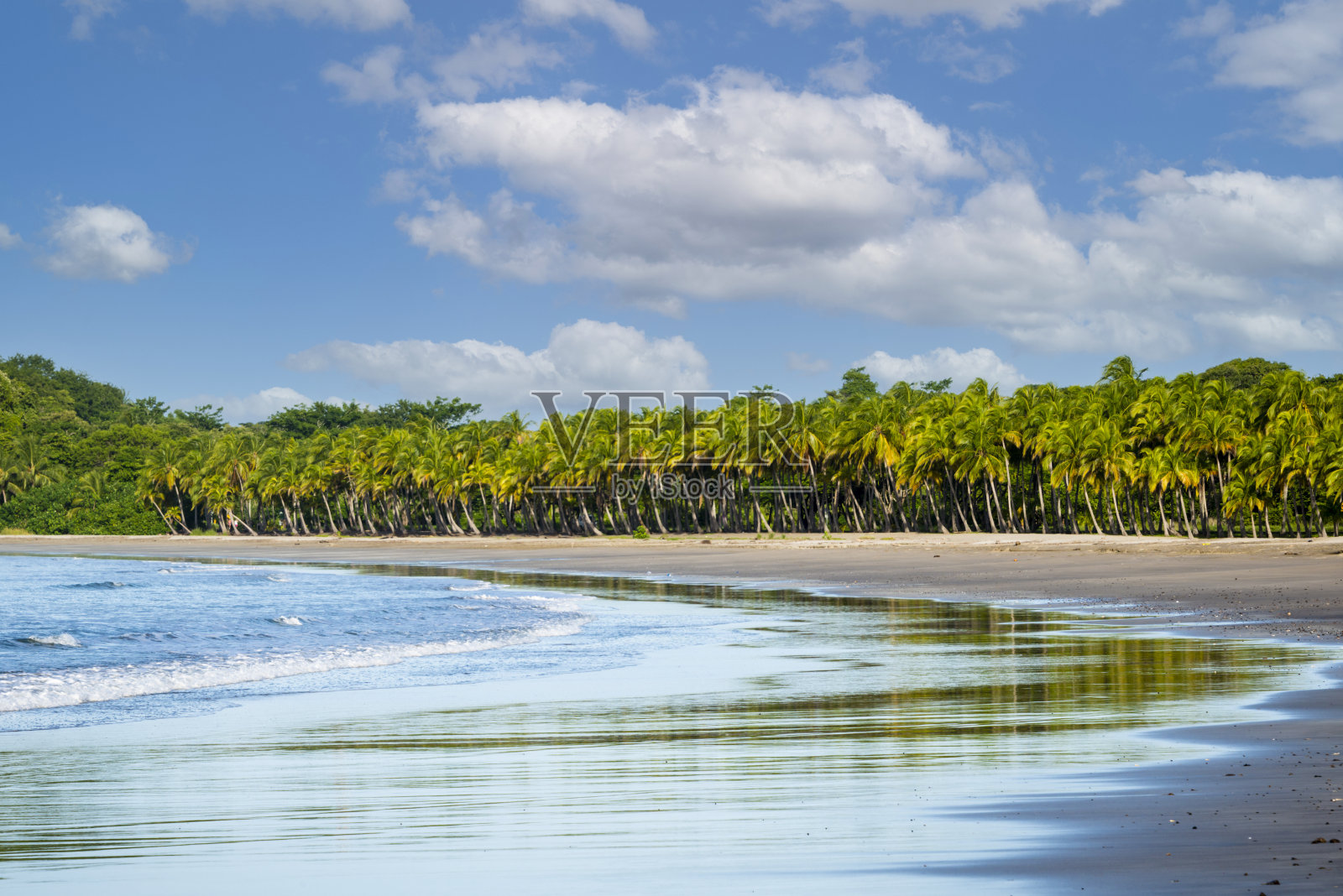 哥斯达黎加的卡里略海滩照片摄影图片