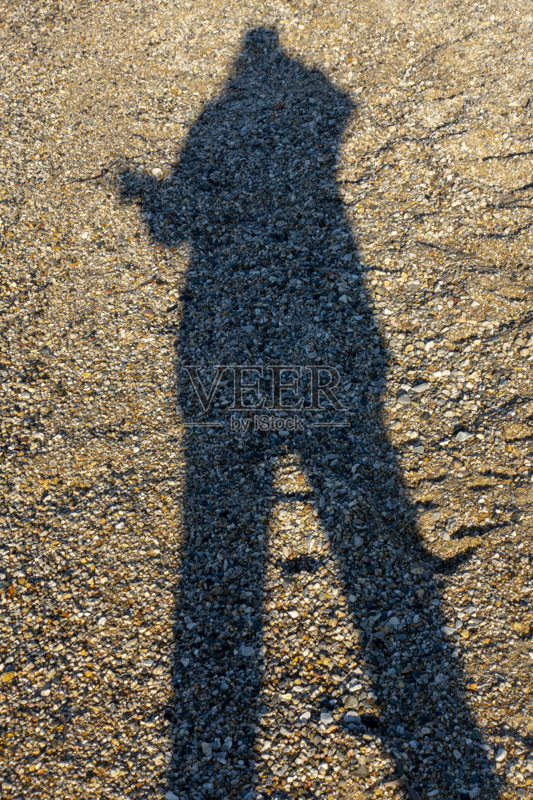 海滩上的剪影照片摄影图片