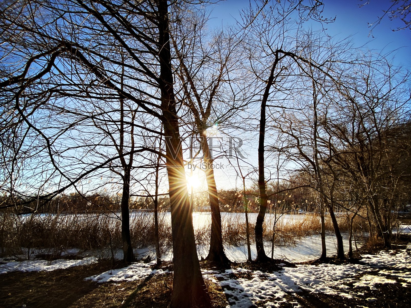 雪天公园里的日落照片摄影图片