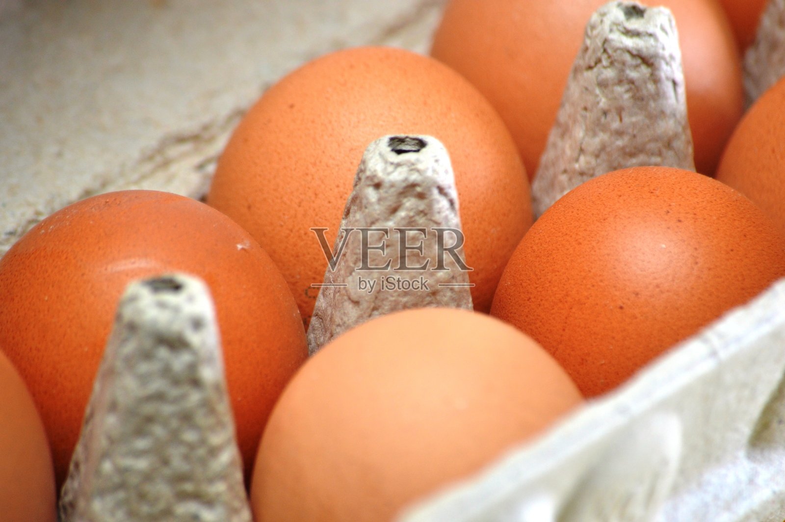 一个鸡蛋照片摄影图片