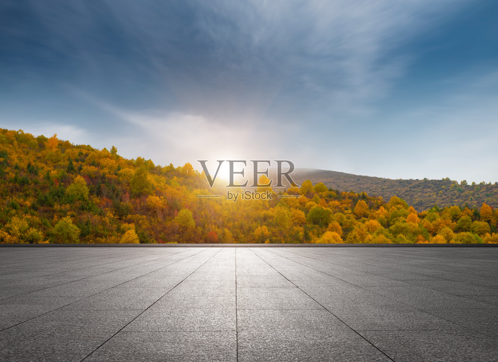 秋天，金色的树林在山路的一边，中国照片摄影图片