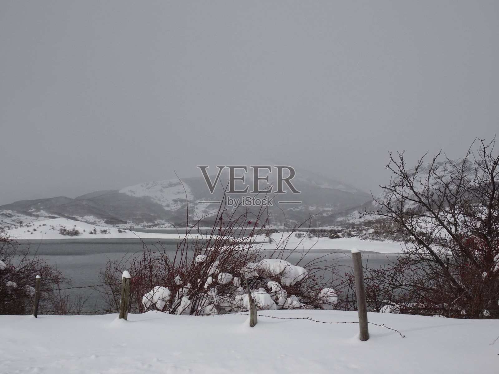 在雪地里照片摄影图片