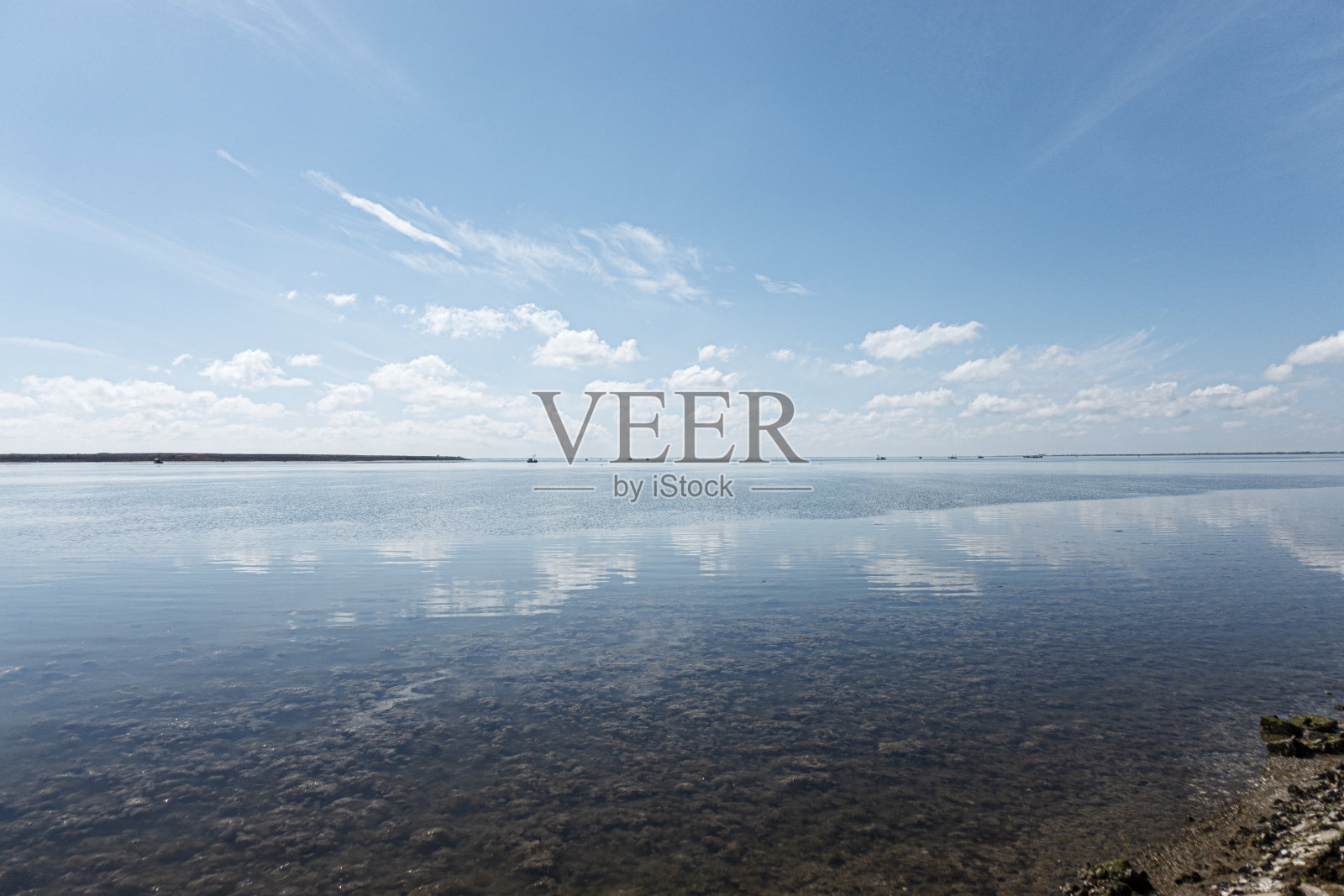 海湾里清澈的水照片摄影图片