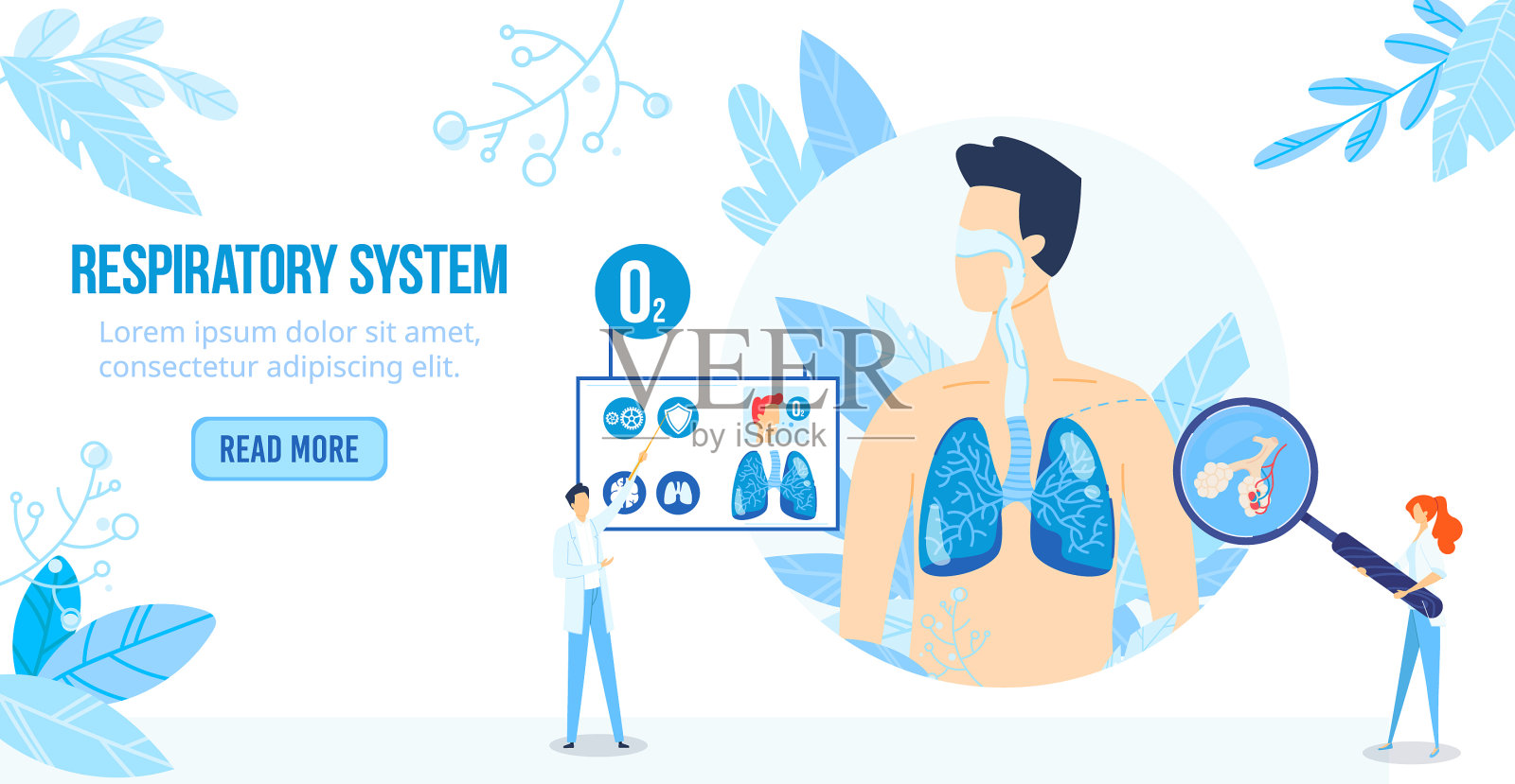 人体解剖科学研究插画图片素材