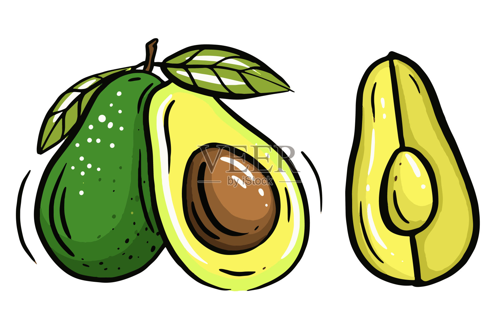 手绘牛油果套装。矢量孤立在白色背景插画图片素材