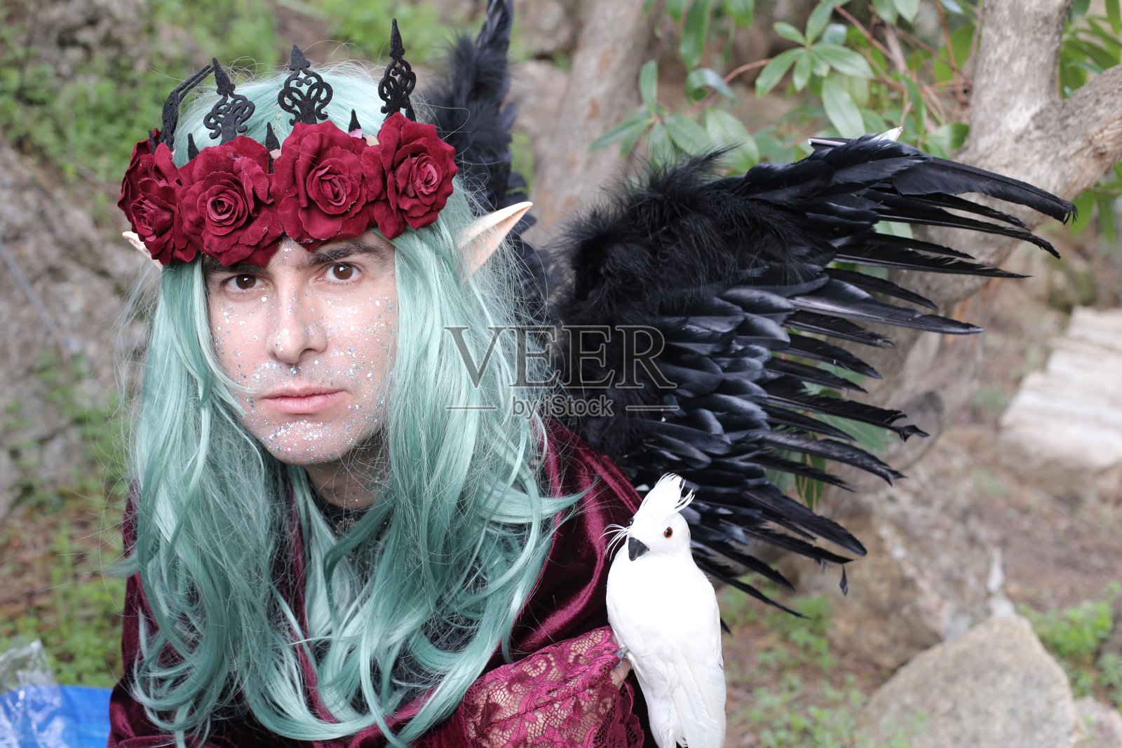 森林里神秘的雄性精灵照片摄影图片