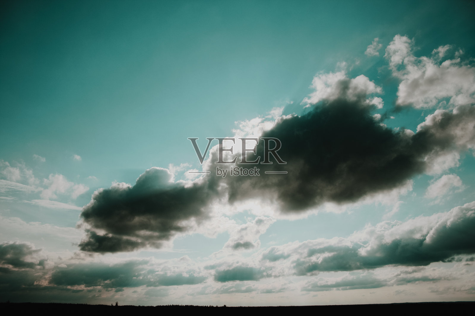 美丽的日落在绿色的松树林。太阳穿过云层。照片摄影图片