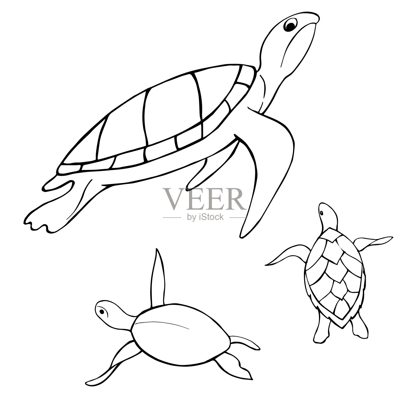 水下龟草图插画图片素材