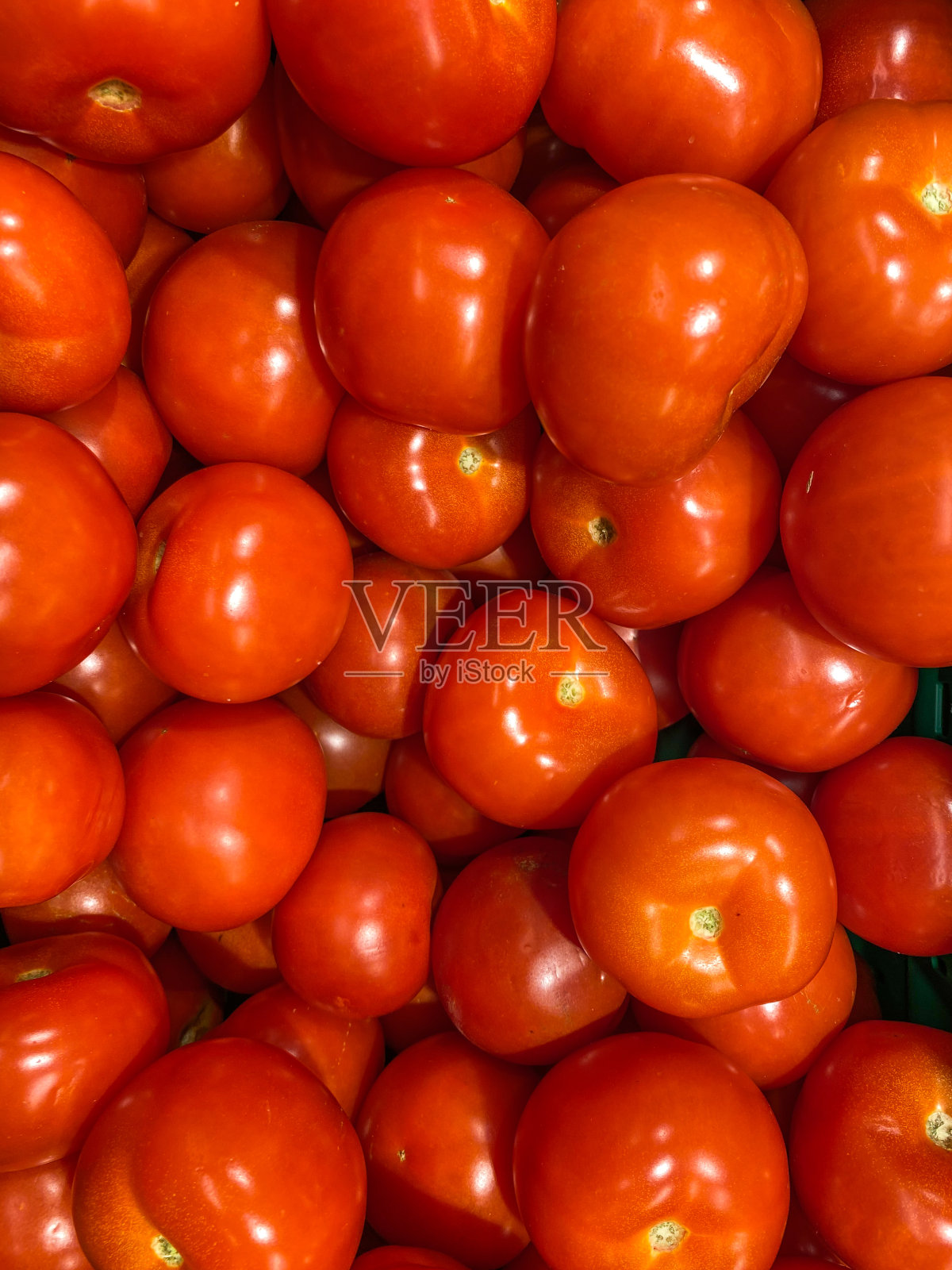 西红柿照片摄影图片