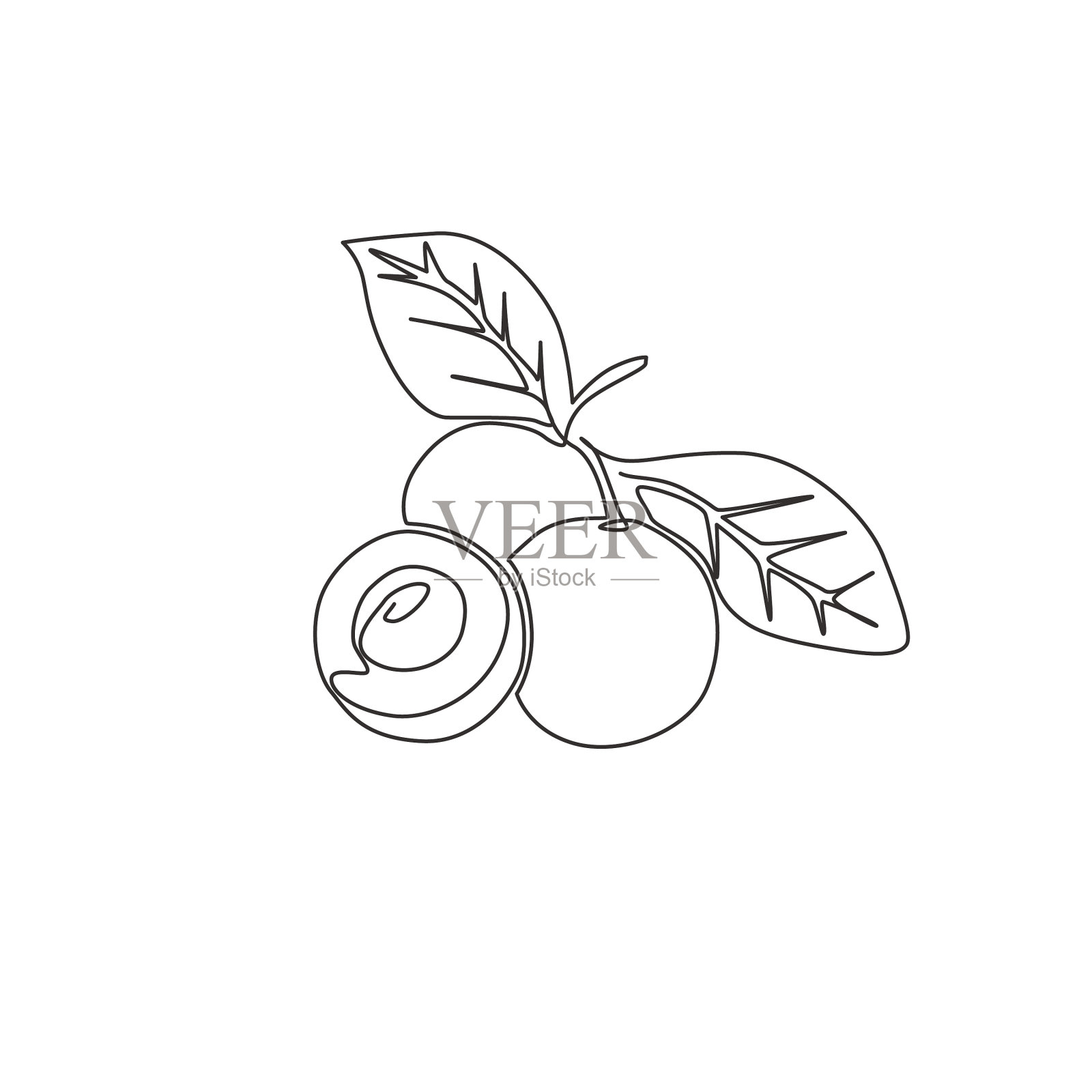 单线连续绘制整体和切割设计元素图片