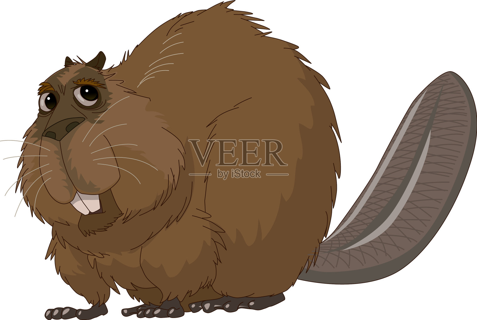 海狸插画图片素材