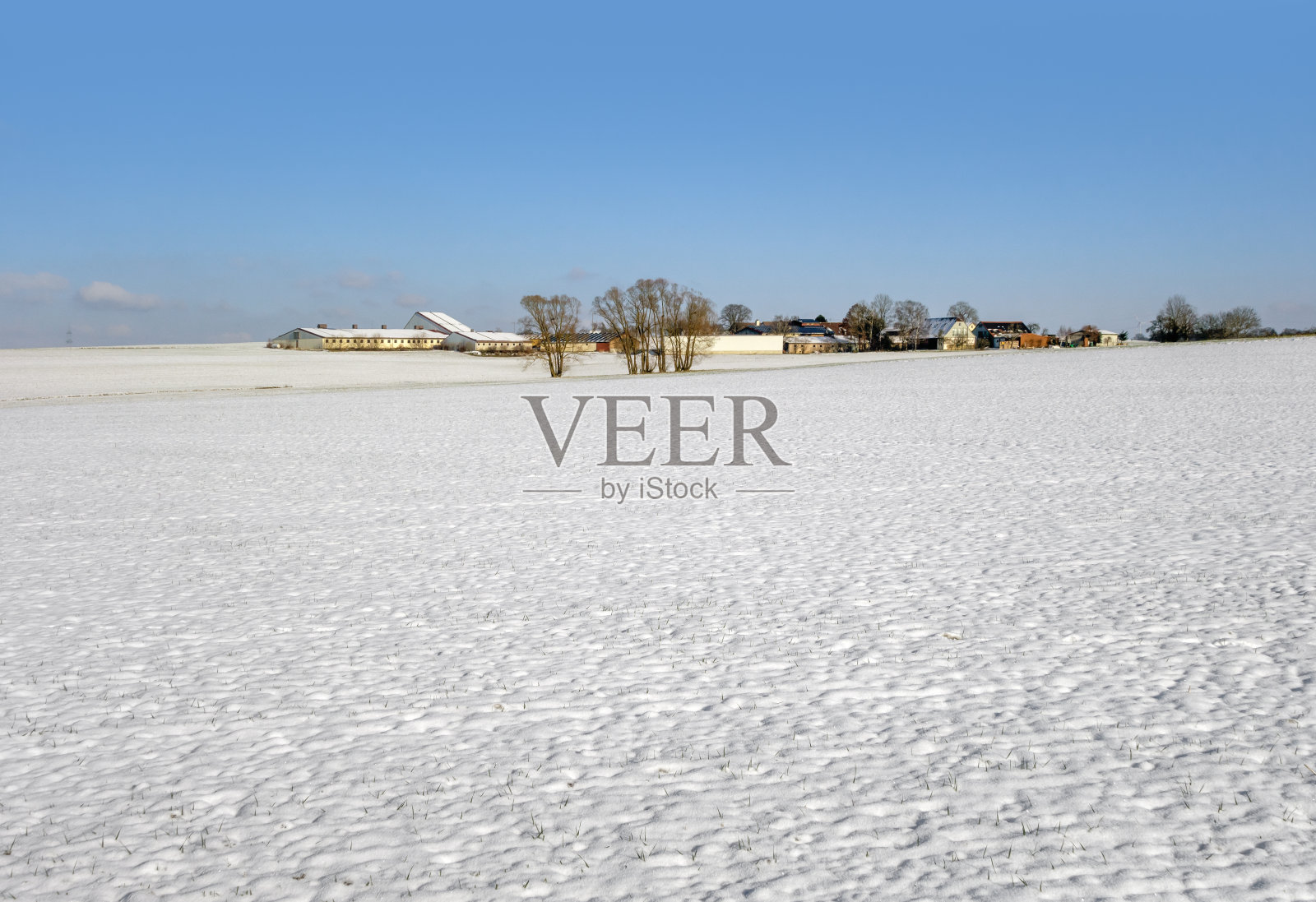 冬天的时候照片摄影图片