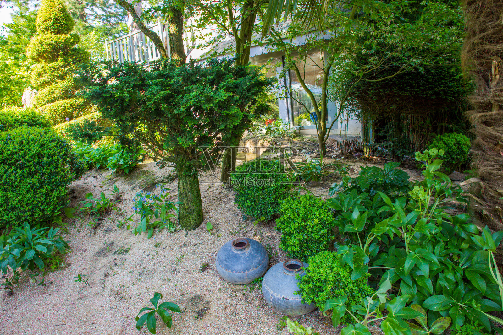 令人惊叹的自然在阿加潘花园在格里格鲁塞维尔，诺曼地-法国北部的五月中旬-蓝色的花，花瓶照片摄影图片