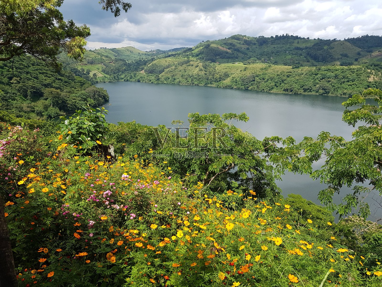 非洲乌干达的湖泊和绿色乡村照片摄影图片