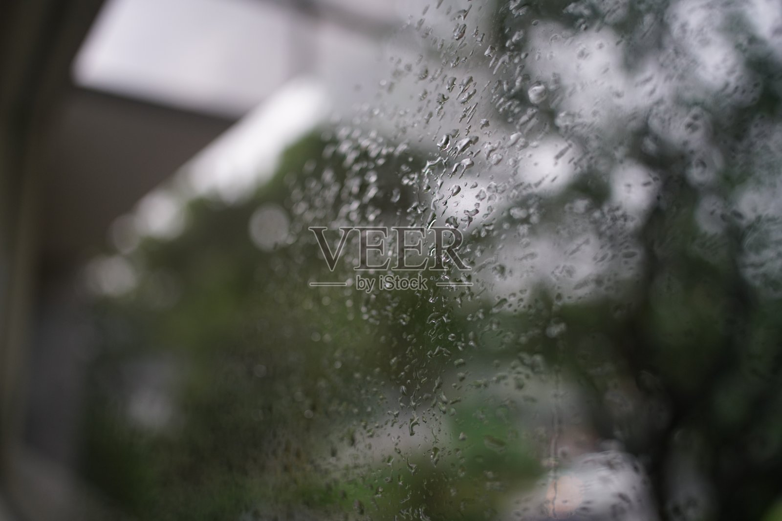 雨照片摄影图片