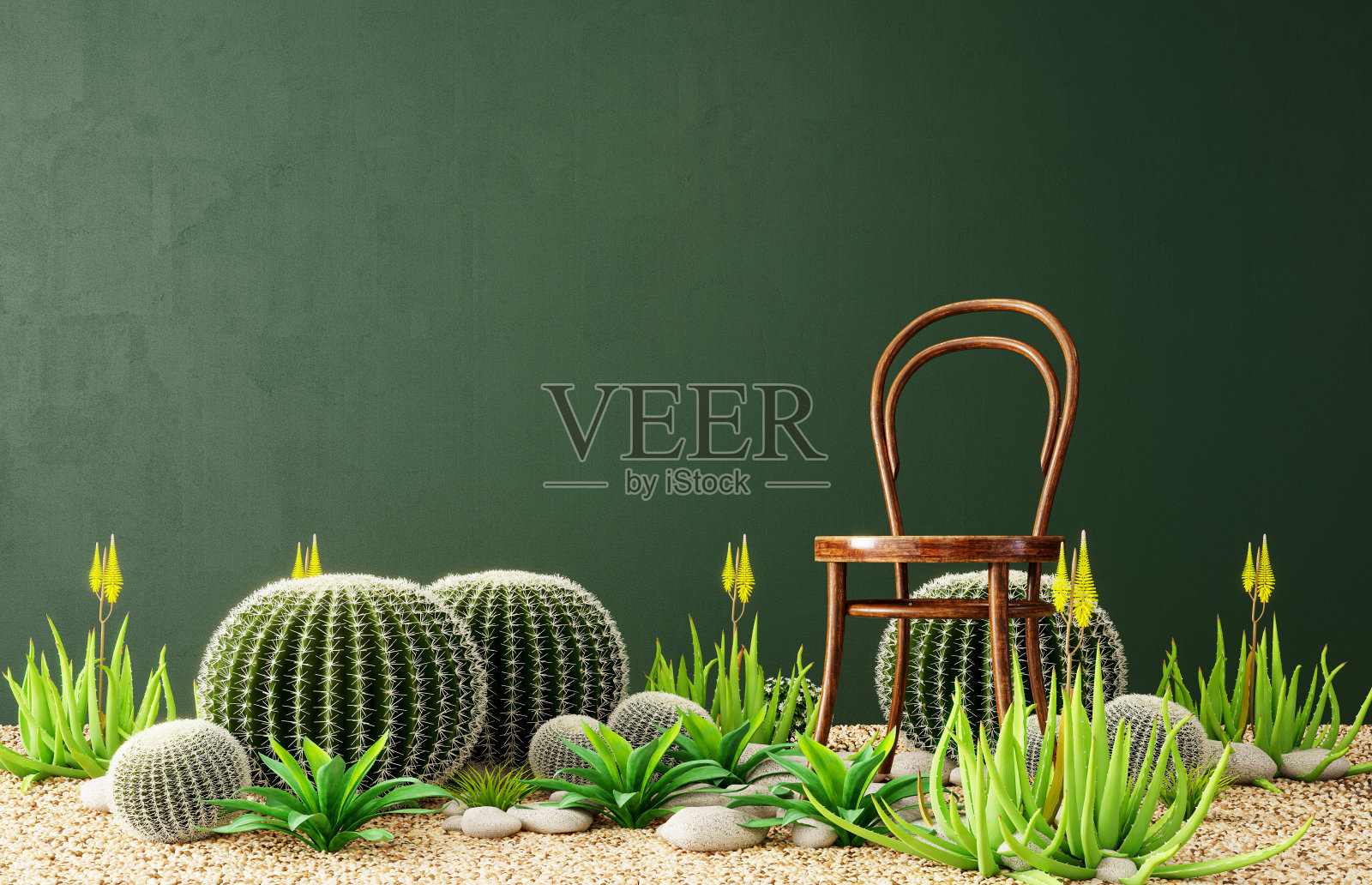 抽象的室内设计与大型仙人掌植物和旧木椅照片摄影图片