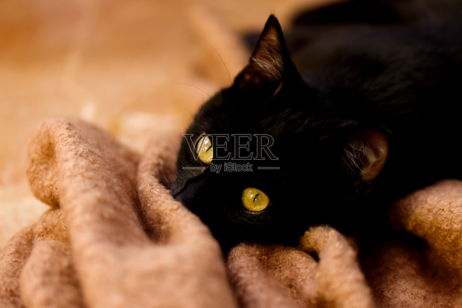 可爱的小黑猫在编织地毯上照片摄影图片