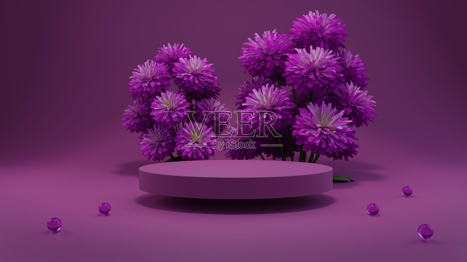 3D渲染花背景紫色，紫罗兰色与几何形状裙台产品展示，最小的概念，溢价插图粉彩花卉元素，美丽，化妆品。照片摄影图片