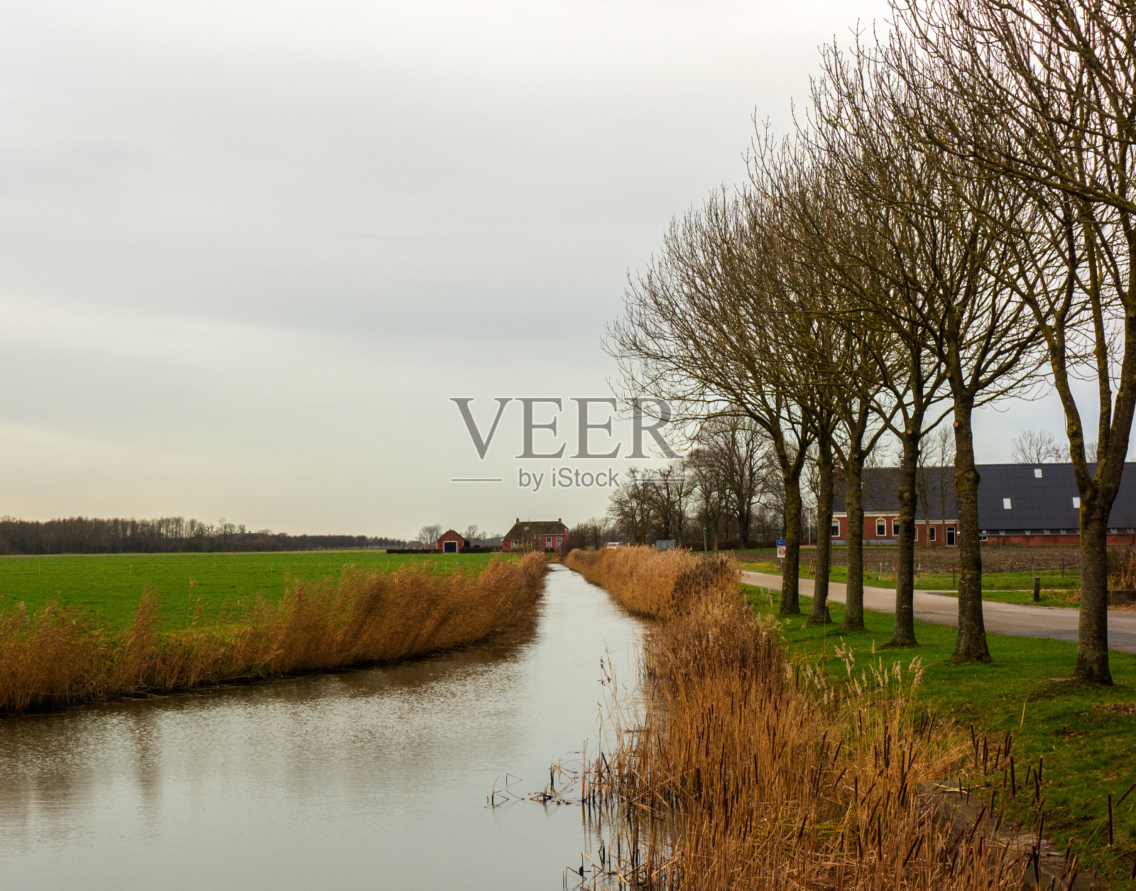荷兰格罗宁根附近的惠辛奇风景照片摄影图片