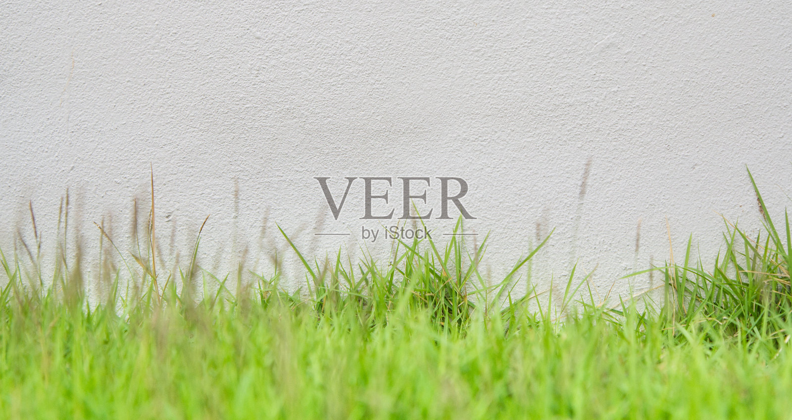 白色的砖墙和绿色的草坪。本空间照片摄影图片