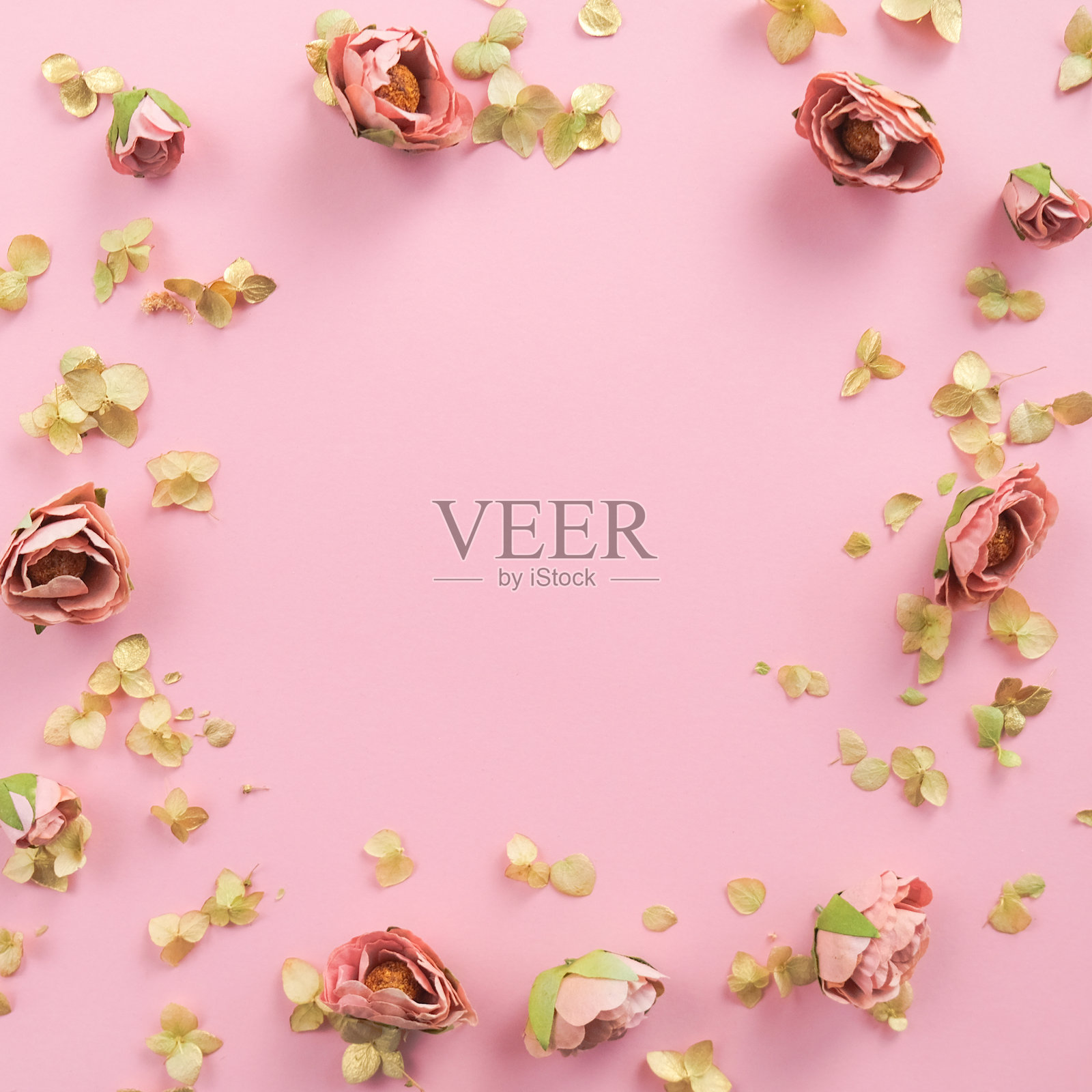 春天的概念。照片摄影图片