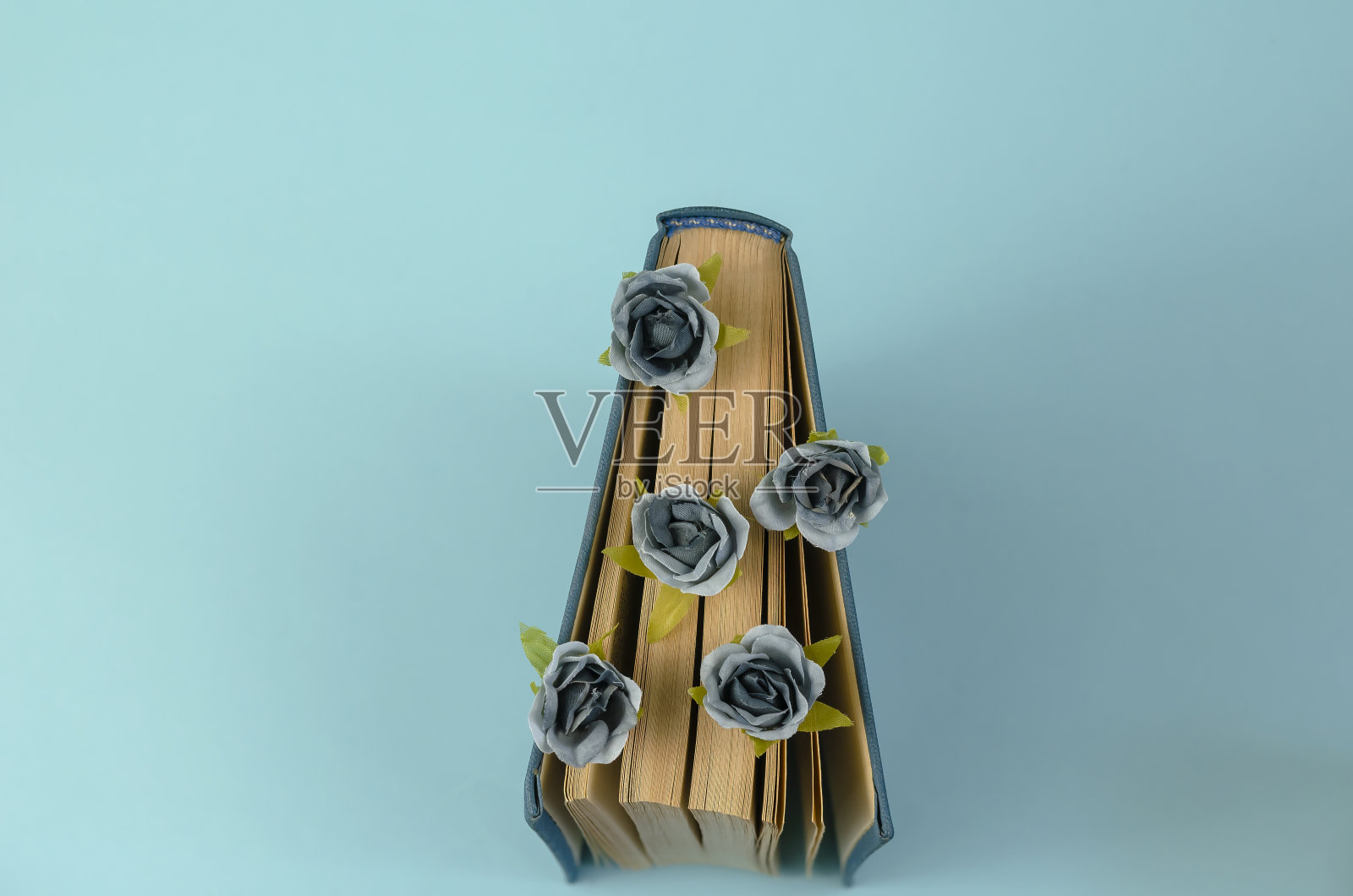 这本书是蓝色的硬皮封面，书页中间夹着花。照片摄影图片