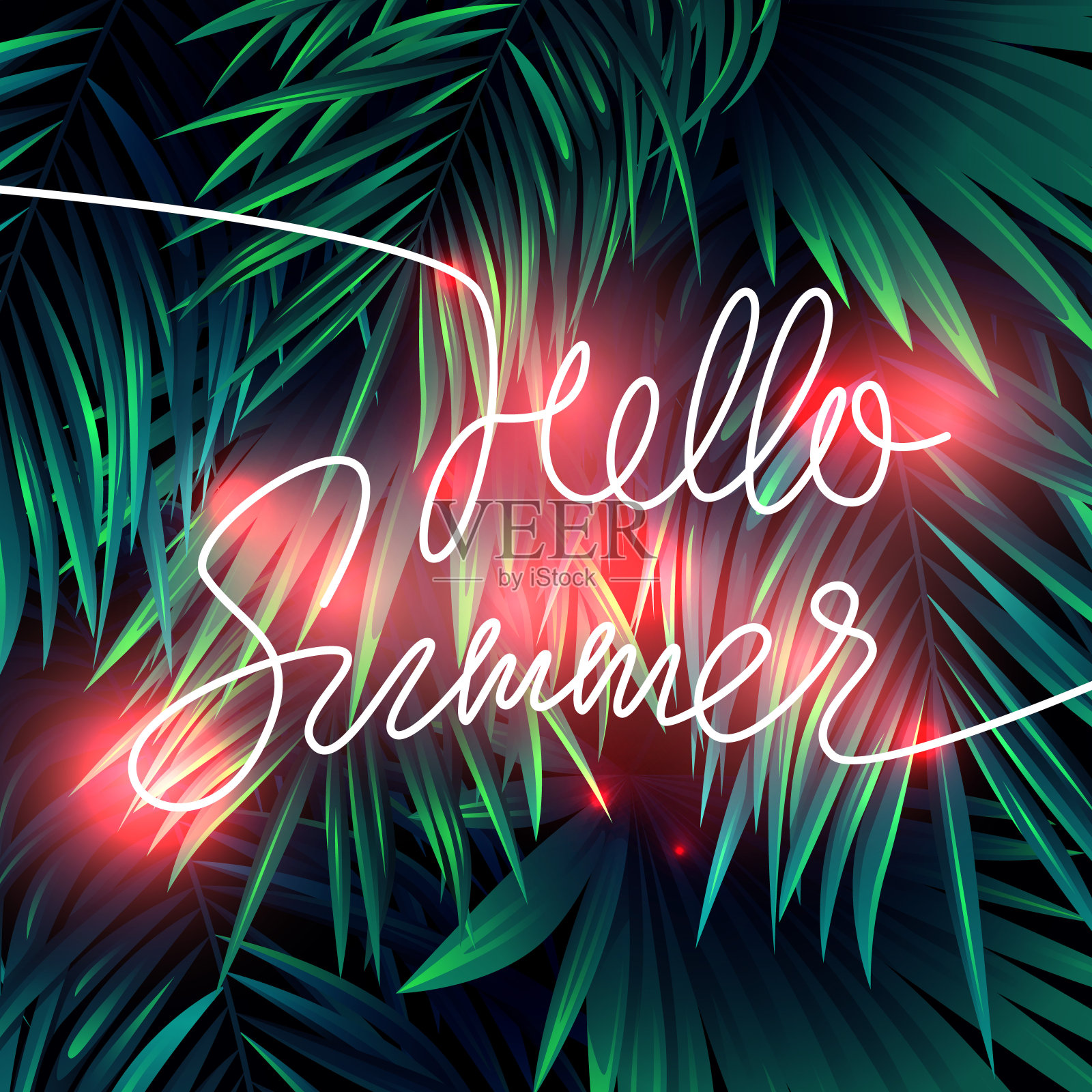 夏季热带背景设计插画图片素材