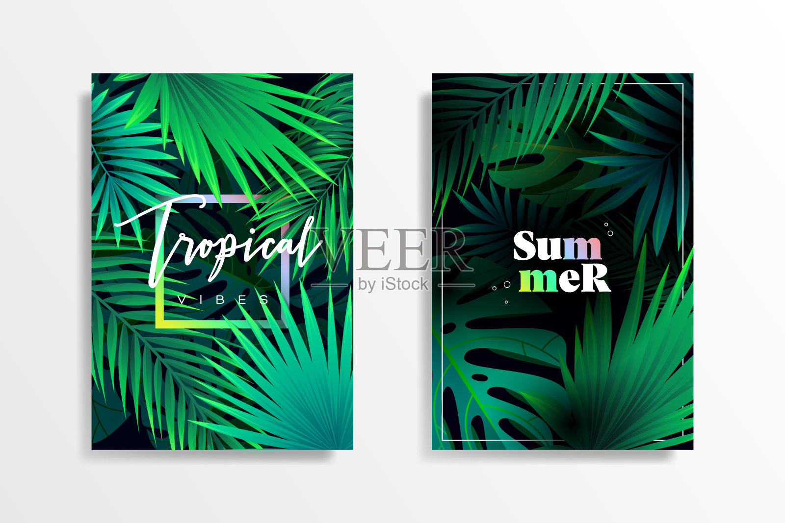 夏季热带背景设计插画图片素材