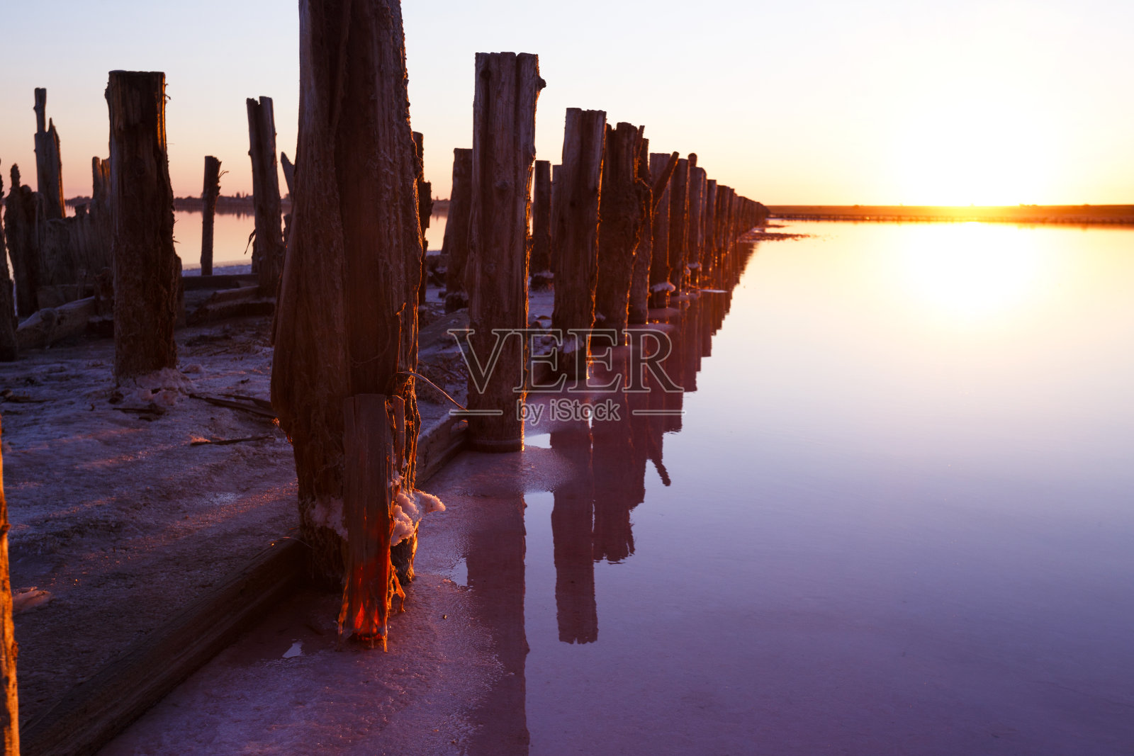 黎明时分美丽的粉红色盐湖景观。被摧毁的大坝的木头残骸。“n照片摄影图片