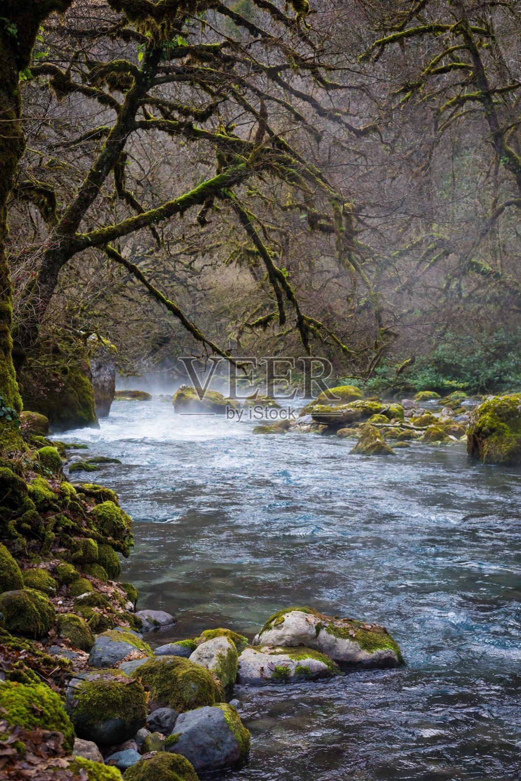 阿布哈兹、比塞布河冬季天气晴朗照片摄影图片