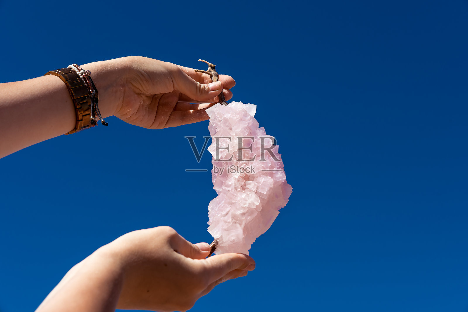 手握天然盐晶体从粉红色湖赫特泻湖的岸边在港格雷戈里，西澳大利亚，西澳大利亚州照片摄影图片