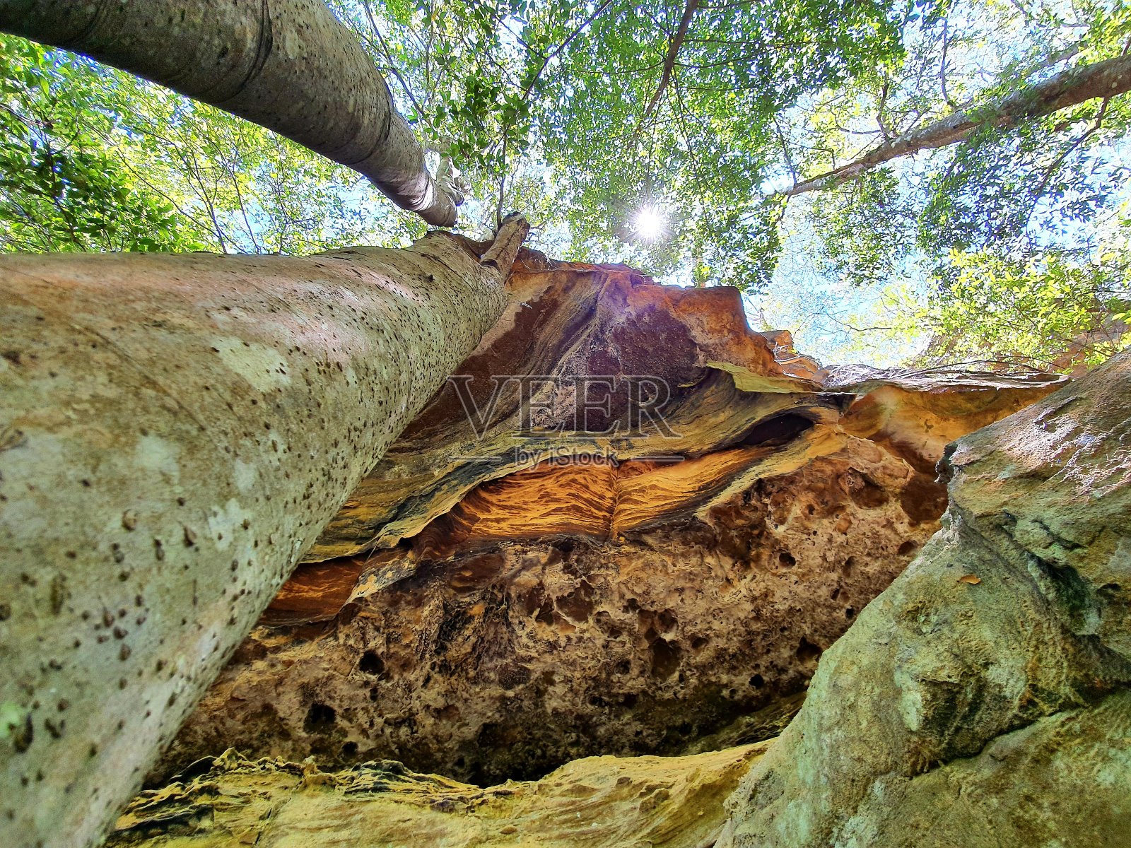 查找照片摄影图片