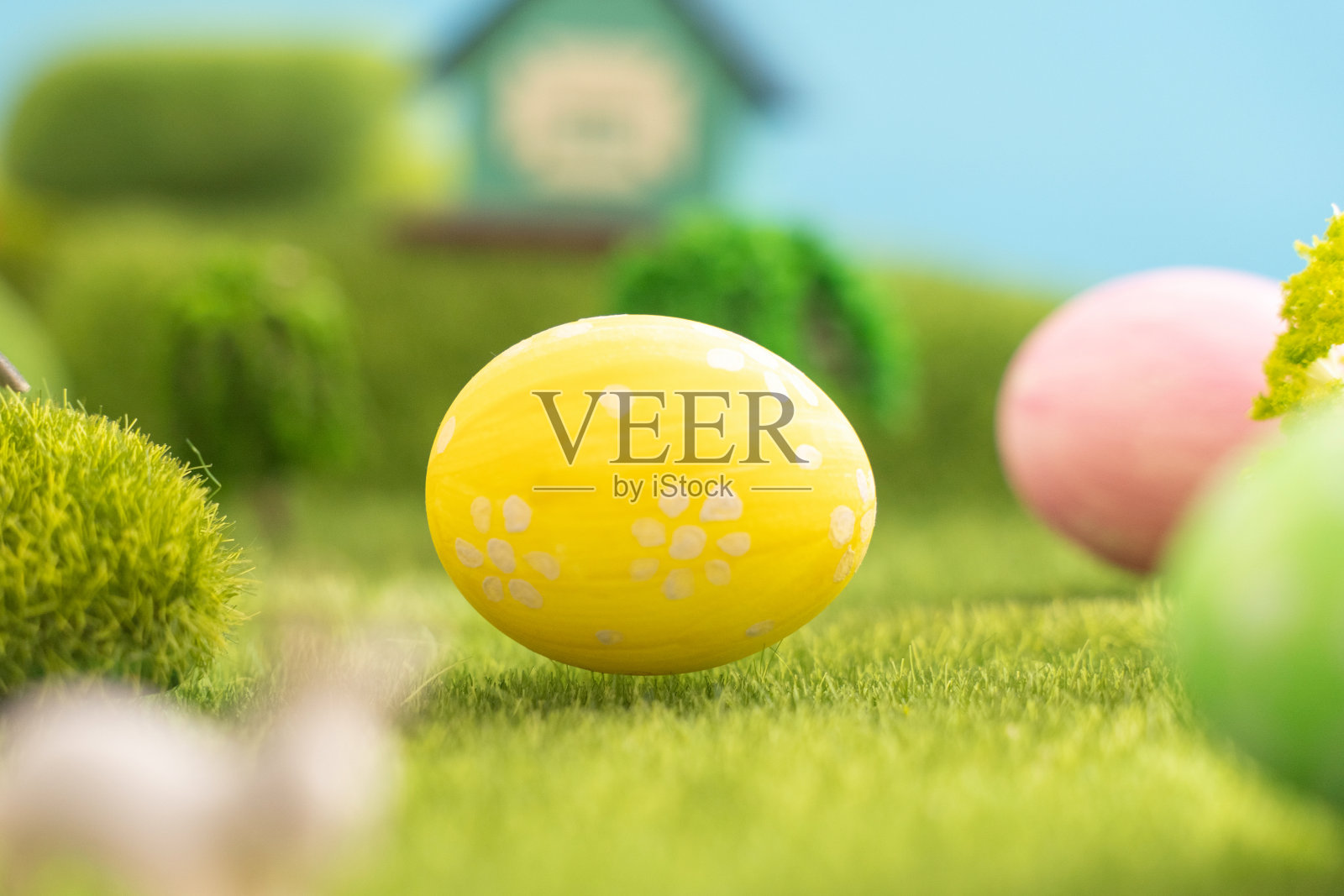 复活节彩蛋在外面的草地上，夕阳从后面照过来照片摄影图片