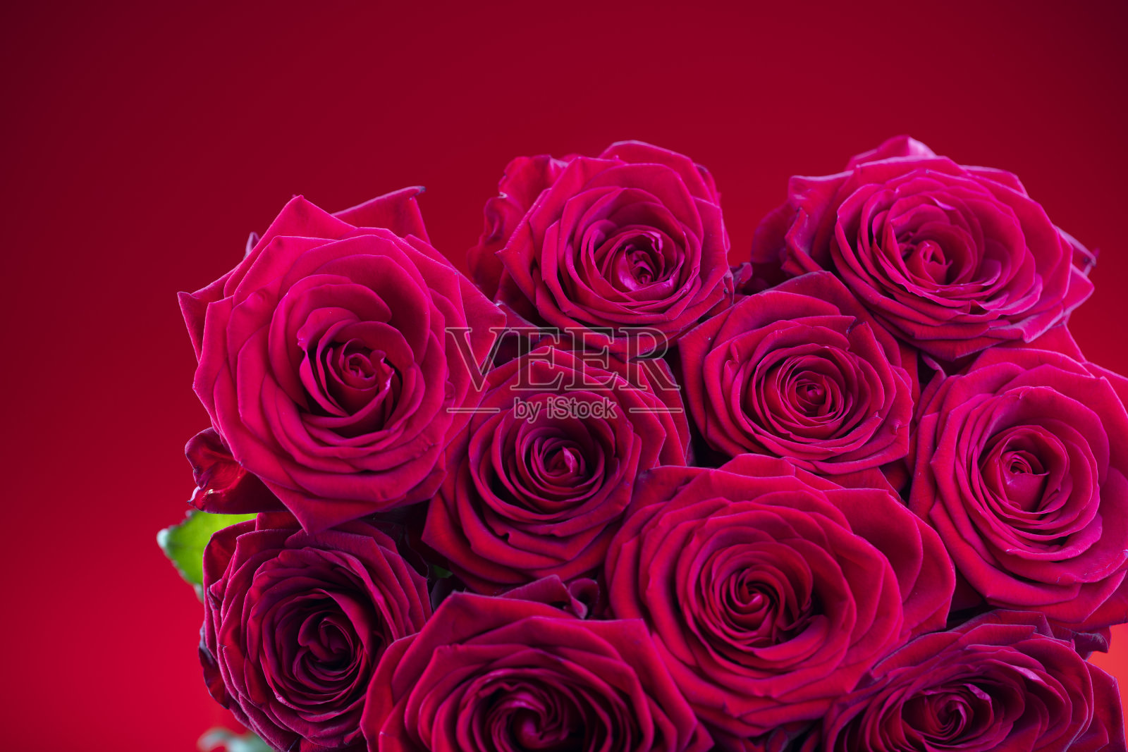 妇女节，3月8日。照片摄影图片