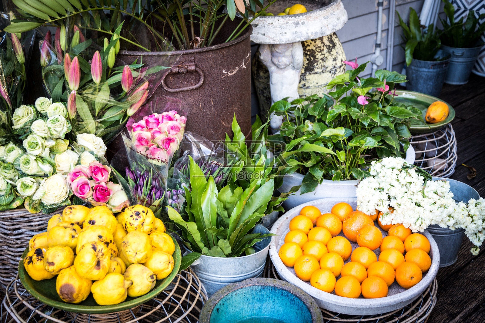 水果和花卉展示照片摄影图片