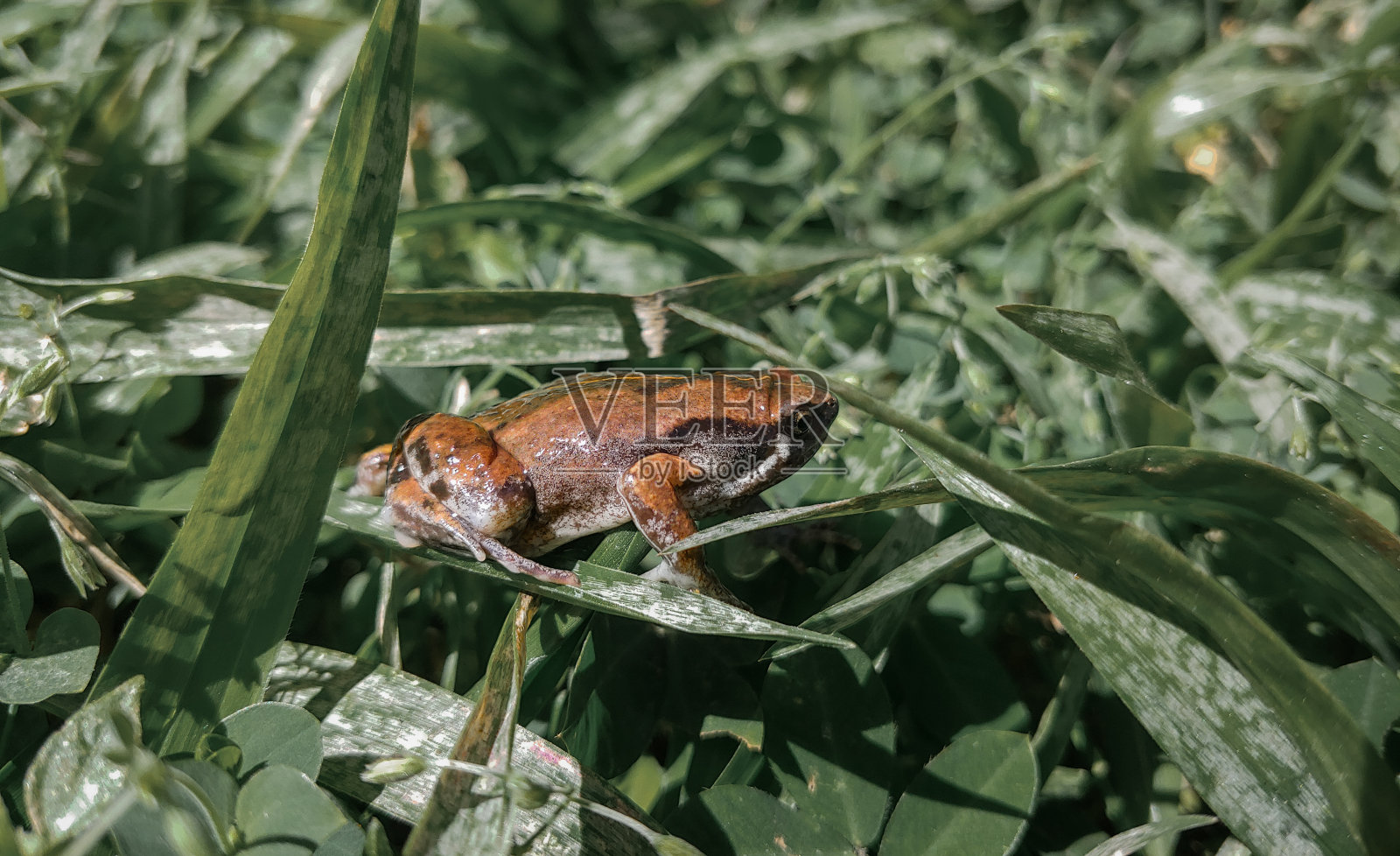 生活照片摄影图片