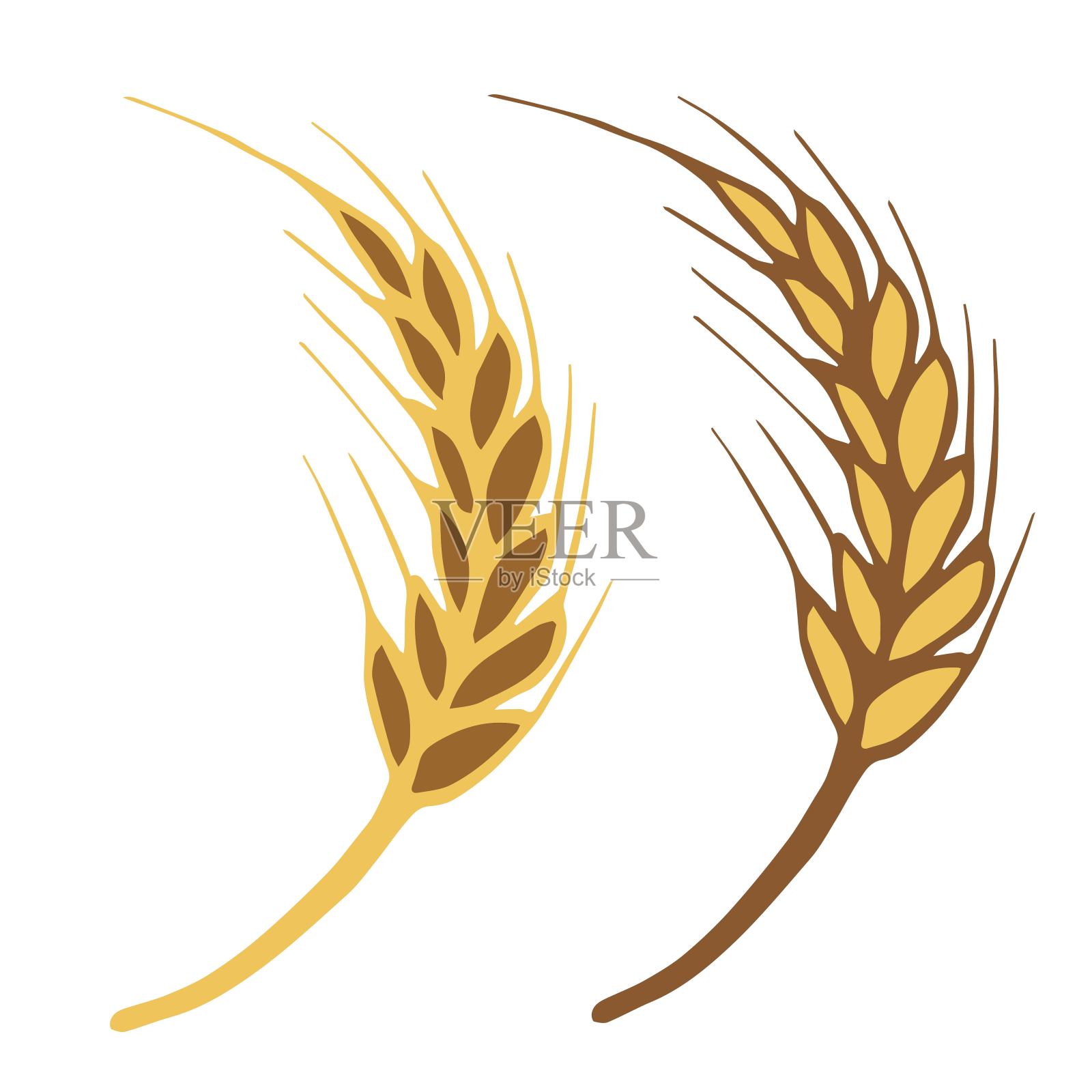 简单的手绘矢量图。在白色的背景上分离的小麦的棕色，金色的小穗。谷物、面粉产品。印刷，标签，标志，商店，面包店。插画图片素材