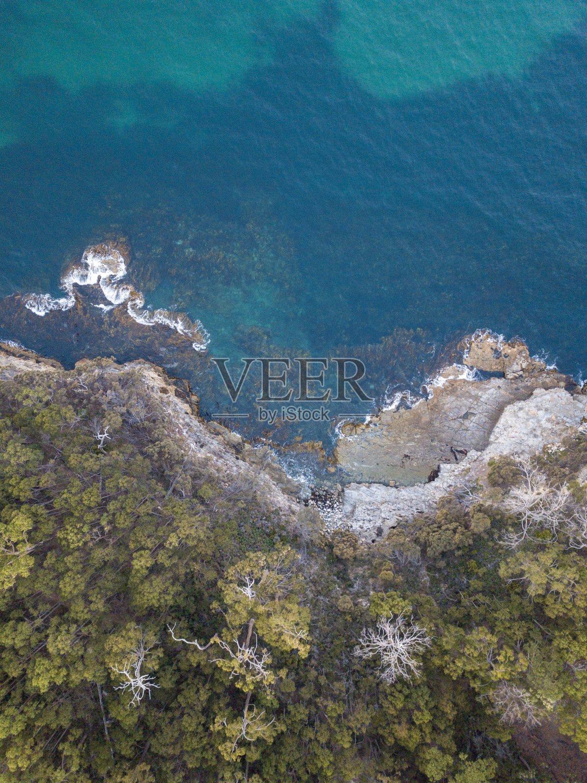 海洋照片摄影图片