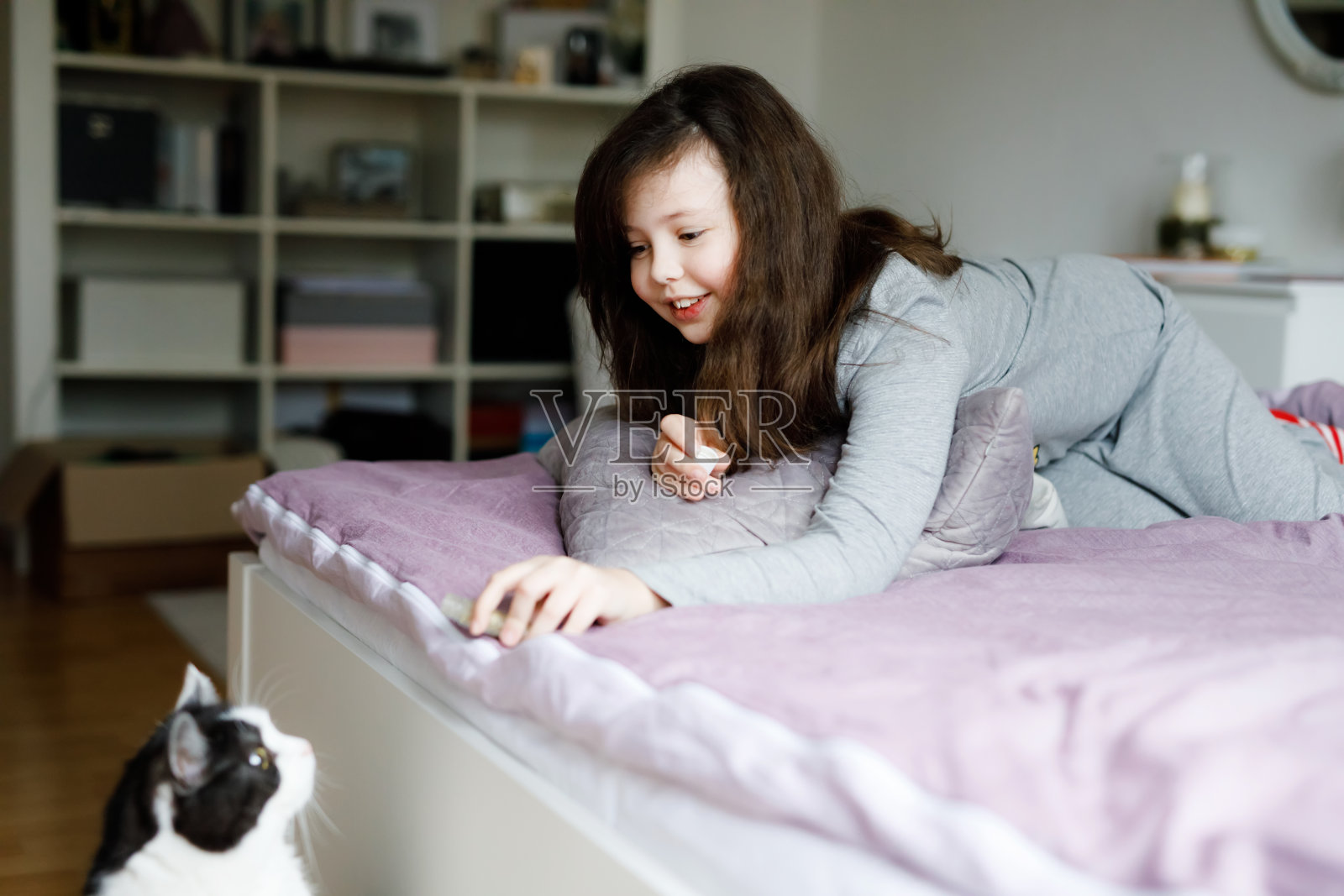 可爱可爱的小女孩拥抱和玩在一起的猫在床上早上。幸福的家庭，孩子和宠物动物之间的友谊。照片摄影图片