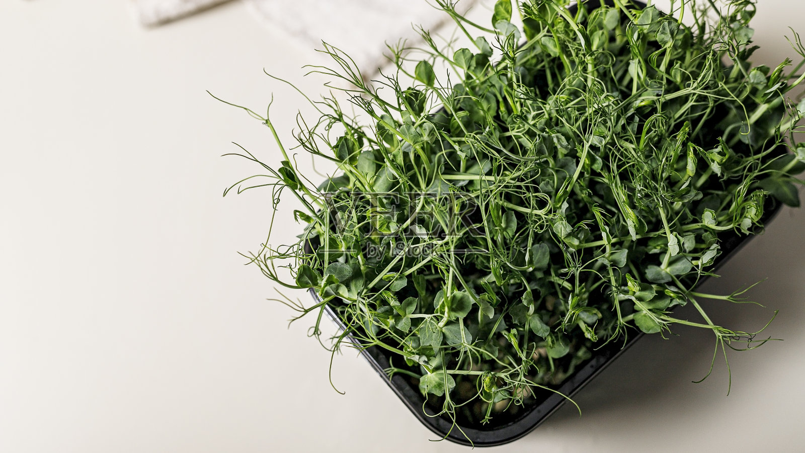 食物的旗帜。微绿色的绿色豌豆在一个塑料容器在一个明亮的背景。超级食物。健康美味的食物。副本的空间。照片摄影图片