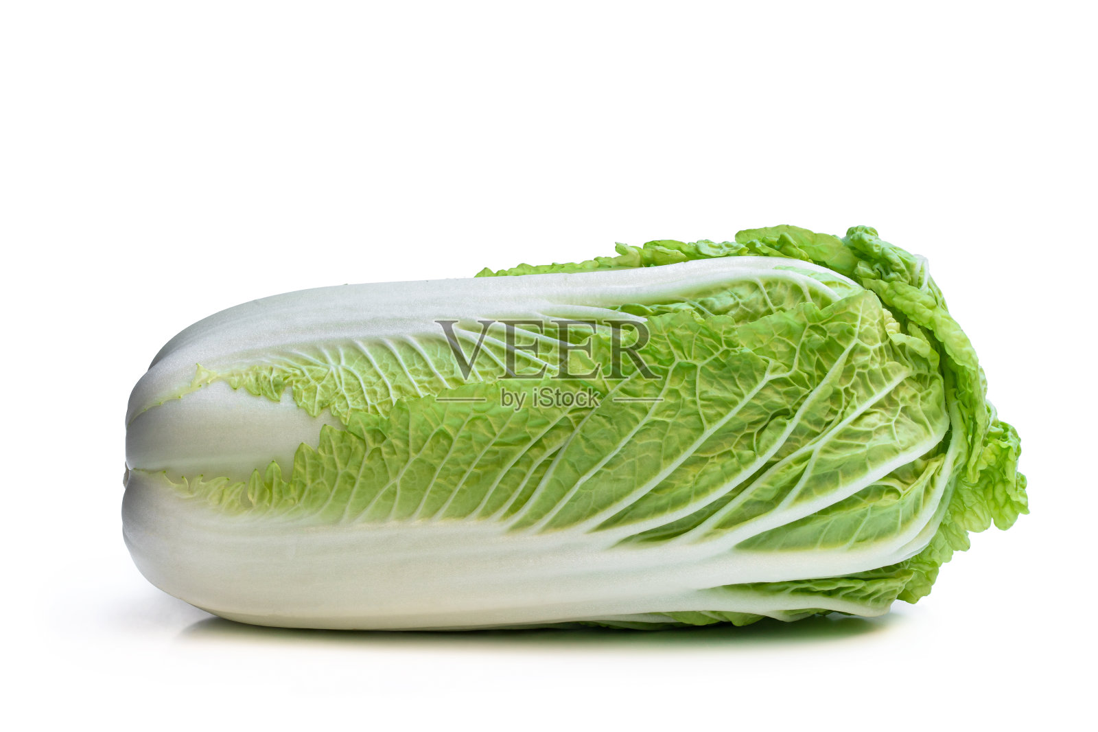 新鲜的全白菜孤立在白色上照片摄影图片