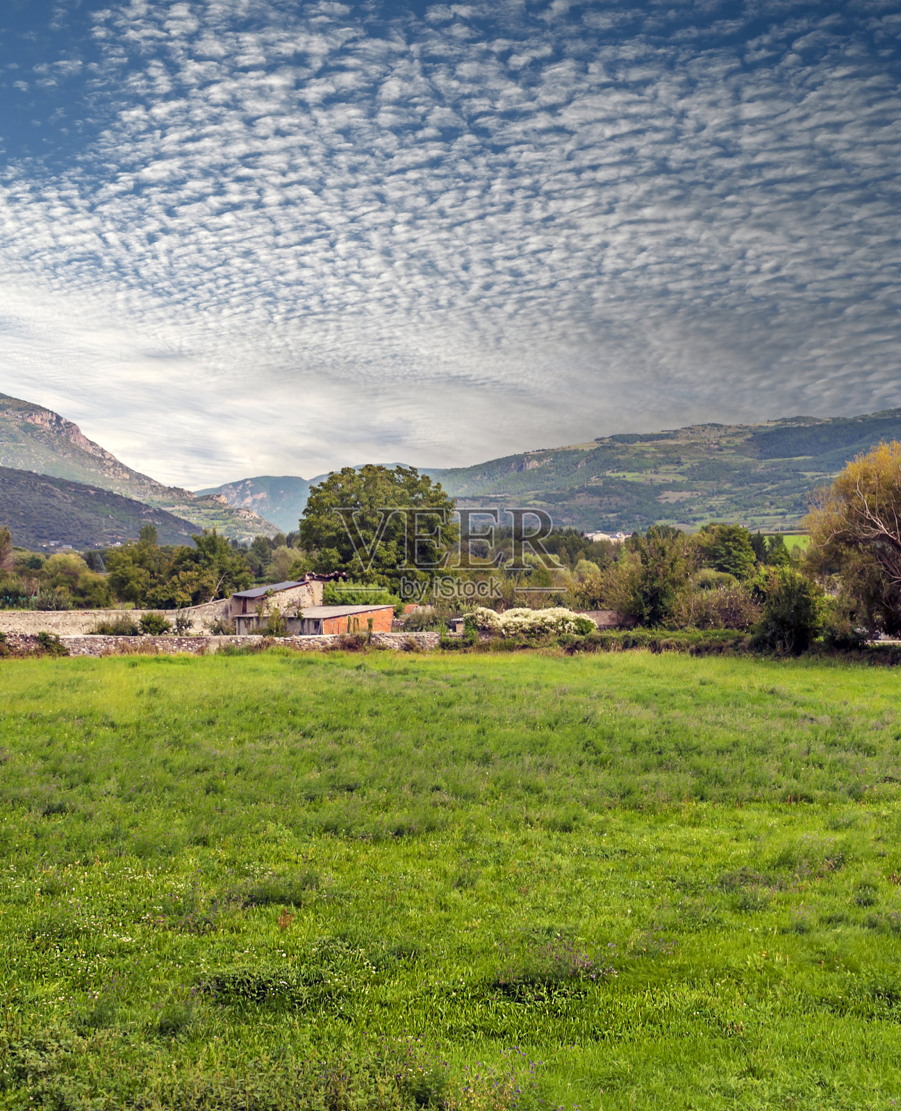 山谷中的草地照片摄影图片