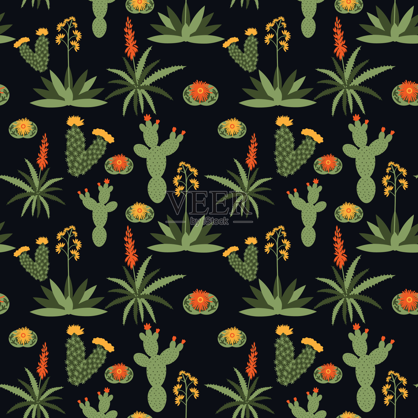 无缝的沙漠植物插画图片素材