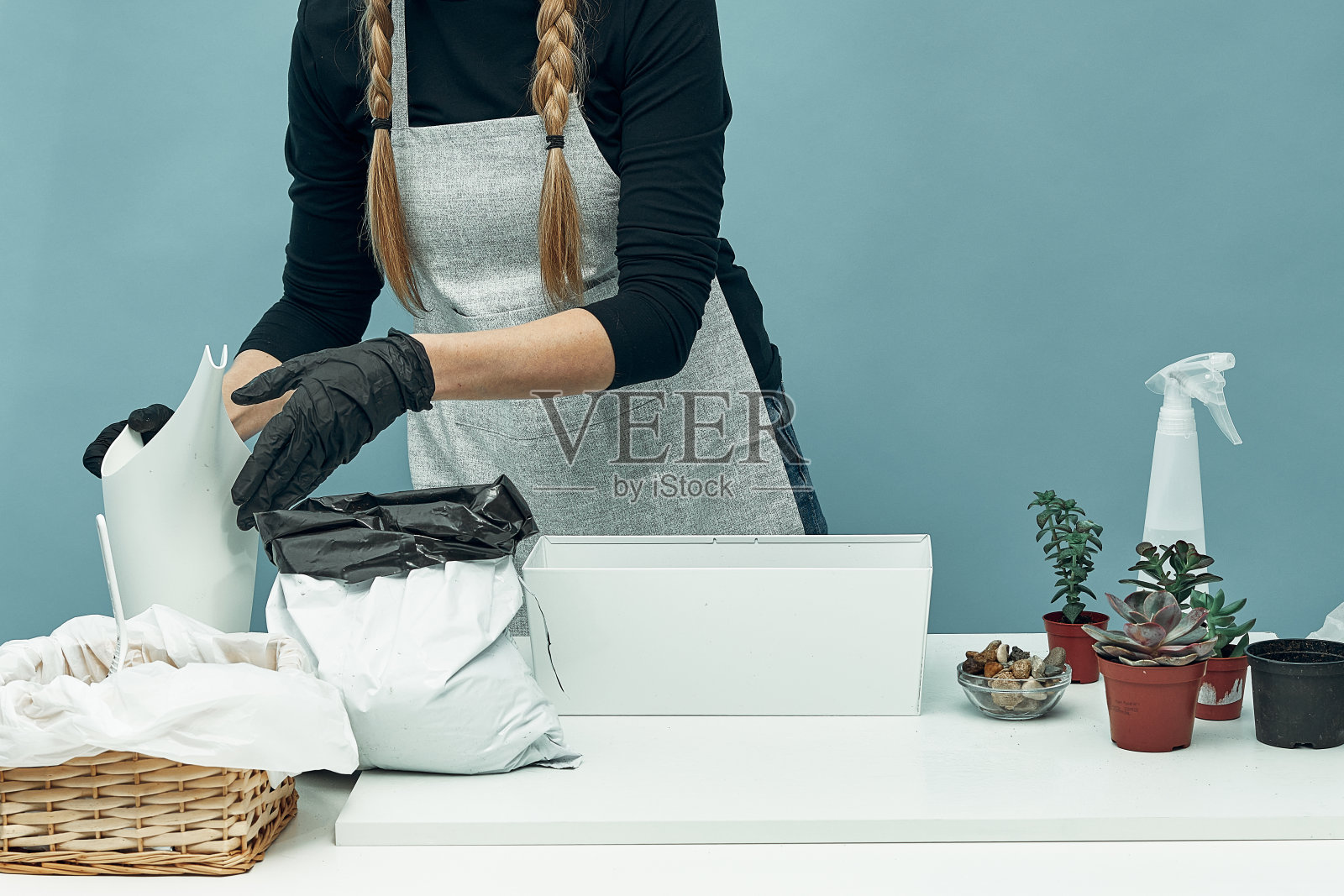 女孩在土和花盆里种室内植物和花。植物护理和保养。的爱好。照片摄影图片
